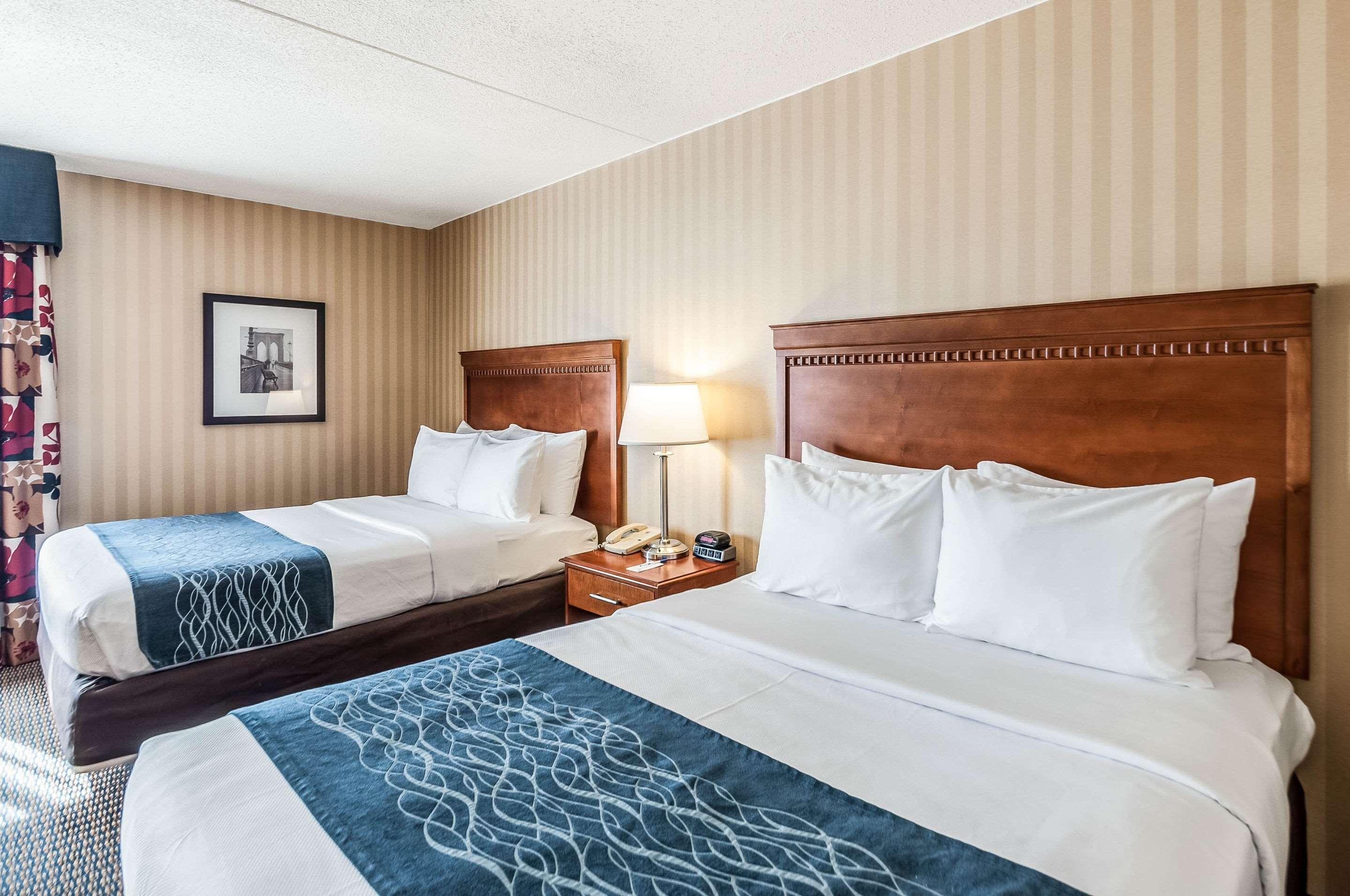 Comfort Inn & Suites Alexandria West Екстер'єр фото